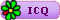 ICQ ICQ