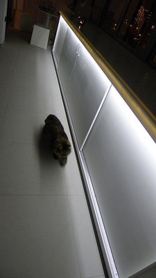 Р46574.jpg