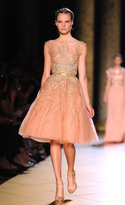 elie-saab-g-1_2267449a.jpg