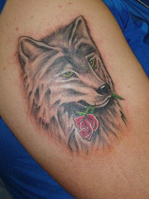 wolf-with-rose-tattoo.jpg