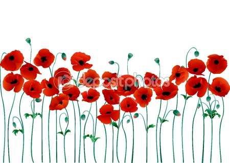 dep_2264550-Red-poppies.jpg