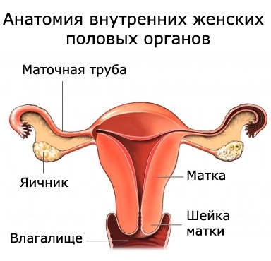 112.jpg