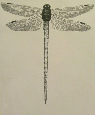 dragonflyfinal-393x472.jpg