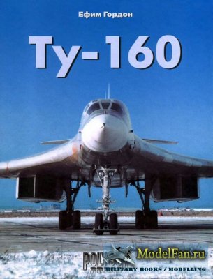 1251538016_tupolev-tu-160-blackjack.jpg