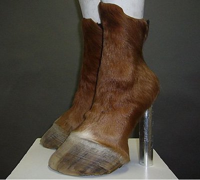 17-photo.jpg