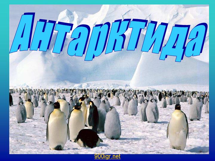 0002-002-Antarktida.jpg