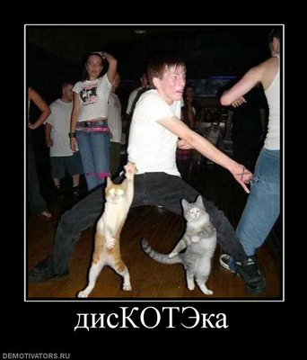 501753_diskoteka.jpg