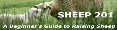 sheep201newlogo..jpg