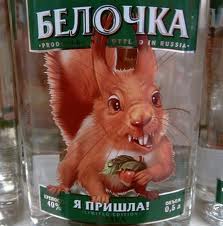 белочка.jpeg