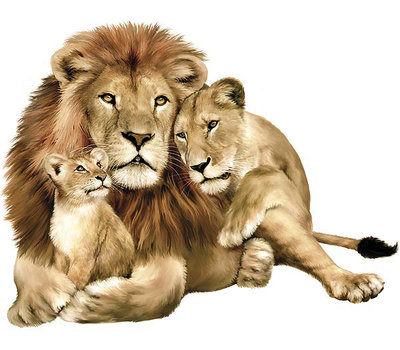 1281617243_lion-07.jpg