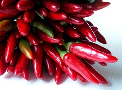 chili_pepper2.jpg