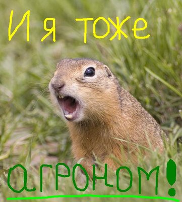 Суслик_агроном.jpg