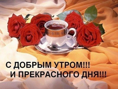 w7VN6c5qz8c.jpg