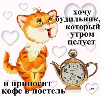 доброе утро.jpg