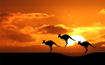 australia-the-sun-silhouettes-kangaroos-wallpaper-1920x1200.jpg