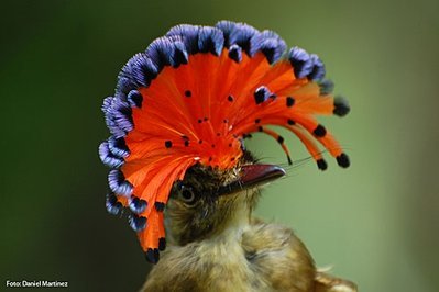 t1@7110e952-5bb8-4d13-ac07-293e48a29df2.jpg