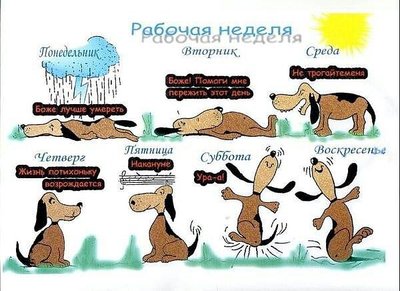 getImagаe (4).jpg