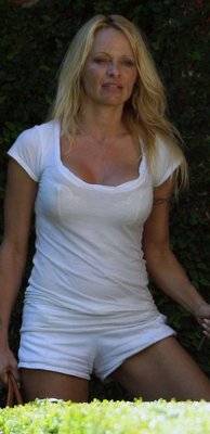 1285967335_Pamela_Anderson_v_obychnoiy_zhizni_13_foto_2.jpg