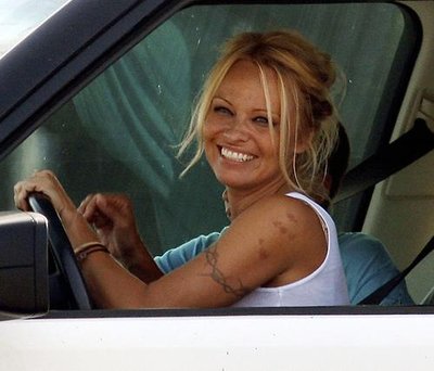 pamela_anderson5.jpg