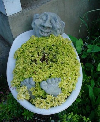 96141055_Bath_elf_in_Sedum_Ogon.JPG