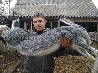 getImagхe (1).jpg