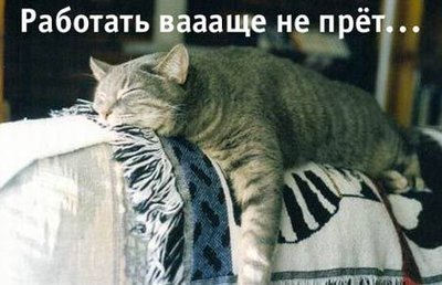0b1f4b553f8add449b63f332dcffd46e.jpeg