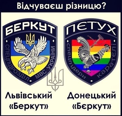 беркут2.jpg