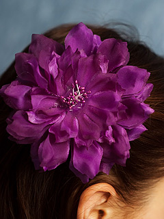 IMGP9145-1.jpg