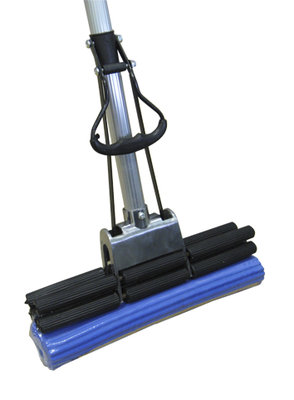 швабра синяя.jpeg