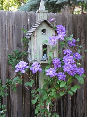 birdhouse-top50-6.jpg