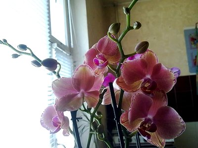 2903201419711.jpg