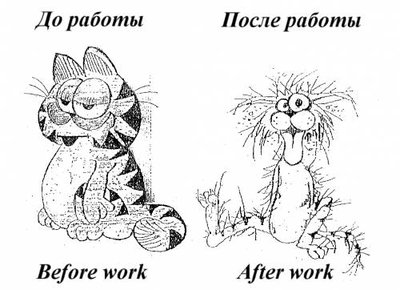 работа.jpeg