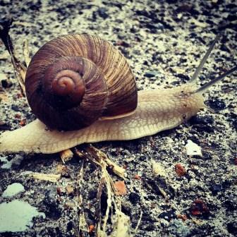 IMG_20140917_181142_15 (1).jpg