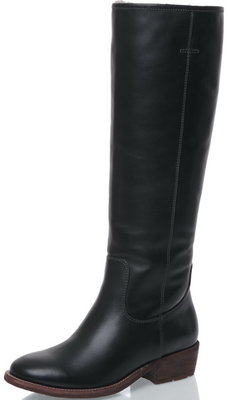 mascotte4682fallwinter1.jpg