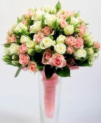 view_4880.jpg