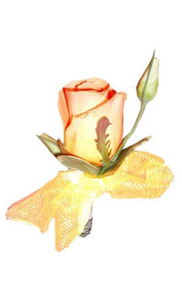 bride-boutonniere4.jpg
