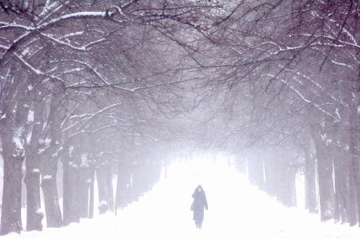 Snow.jpg