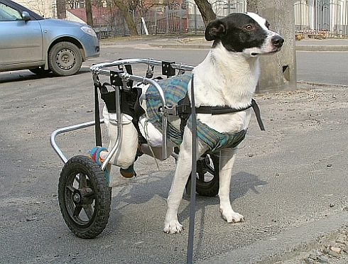 125666580.jpg