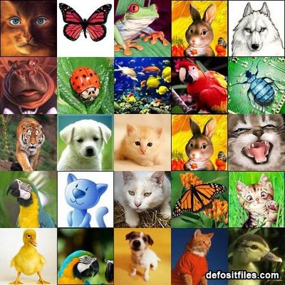 1285869654_animals_avatars.jpg