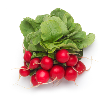 bunch-of-radishes.jpg