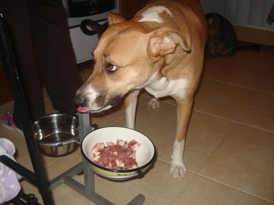 DSC08304.JPG