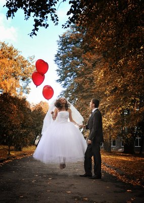 y_569d5cf6.jpg