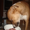DSC08306.JPG