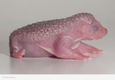 PiClZeIWXq8.jpg