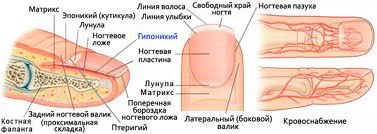 images.jpg