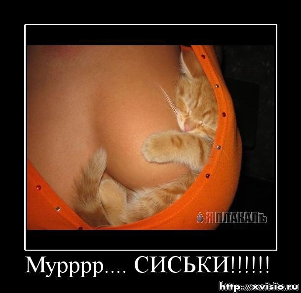 кися