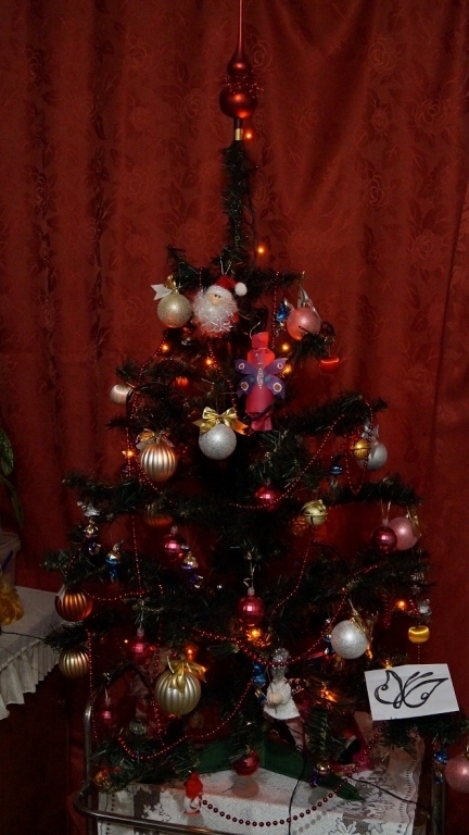DSC011041