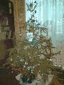 IMG 20160113 090202 342x456
