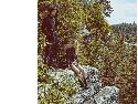 75e zara fall winter 2016 campaign08