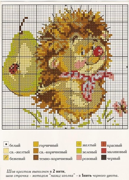 ежик